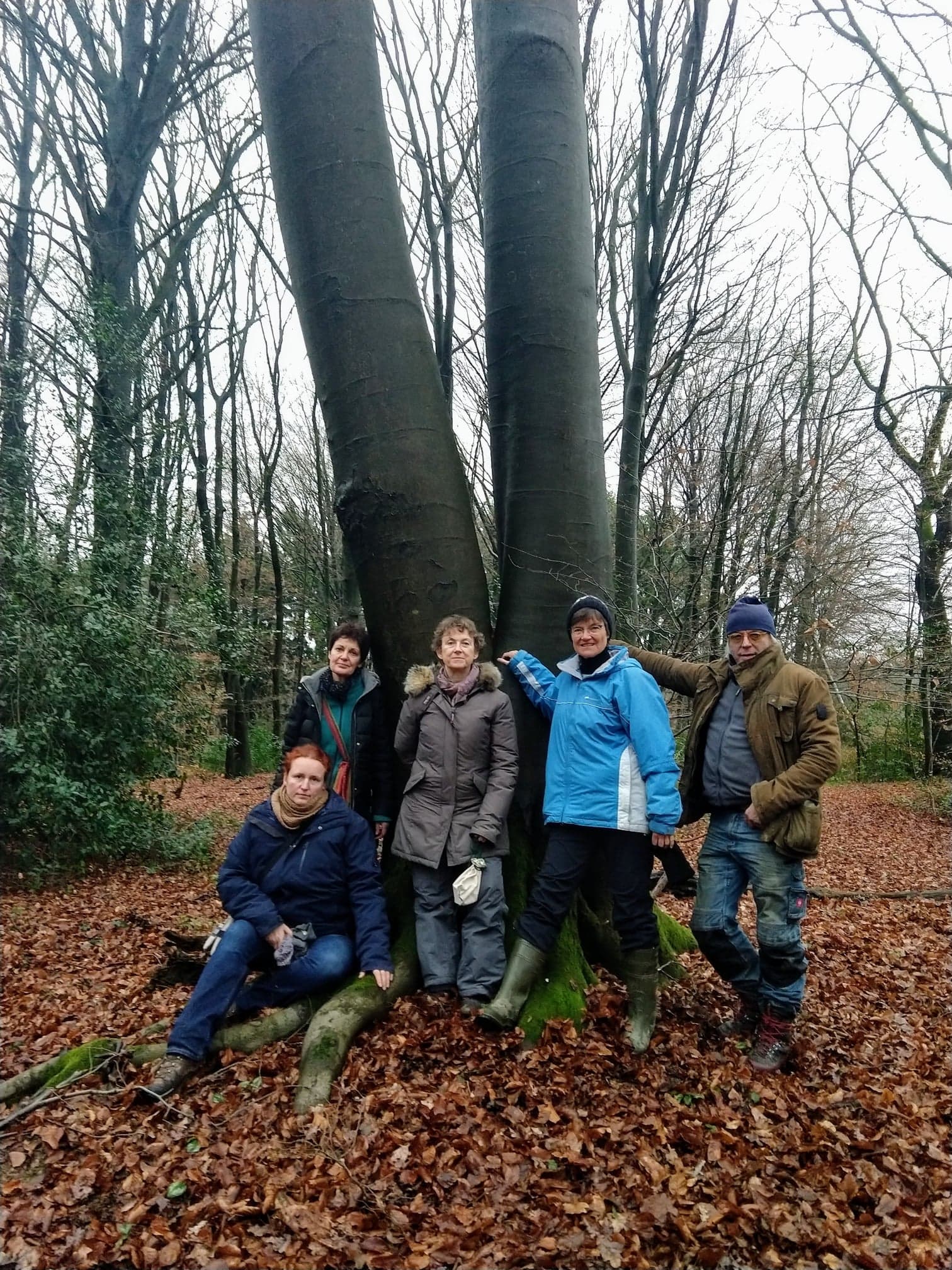 Natur Coaches