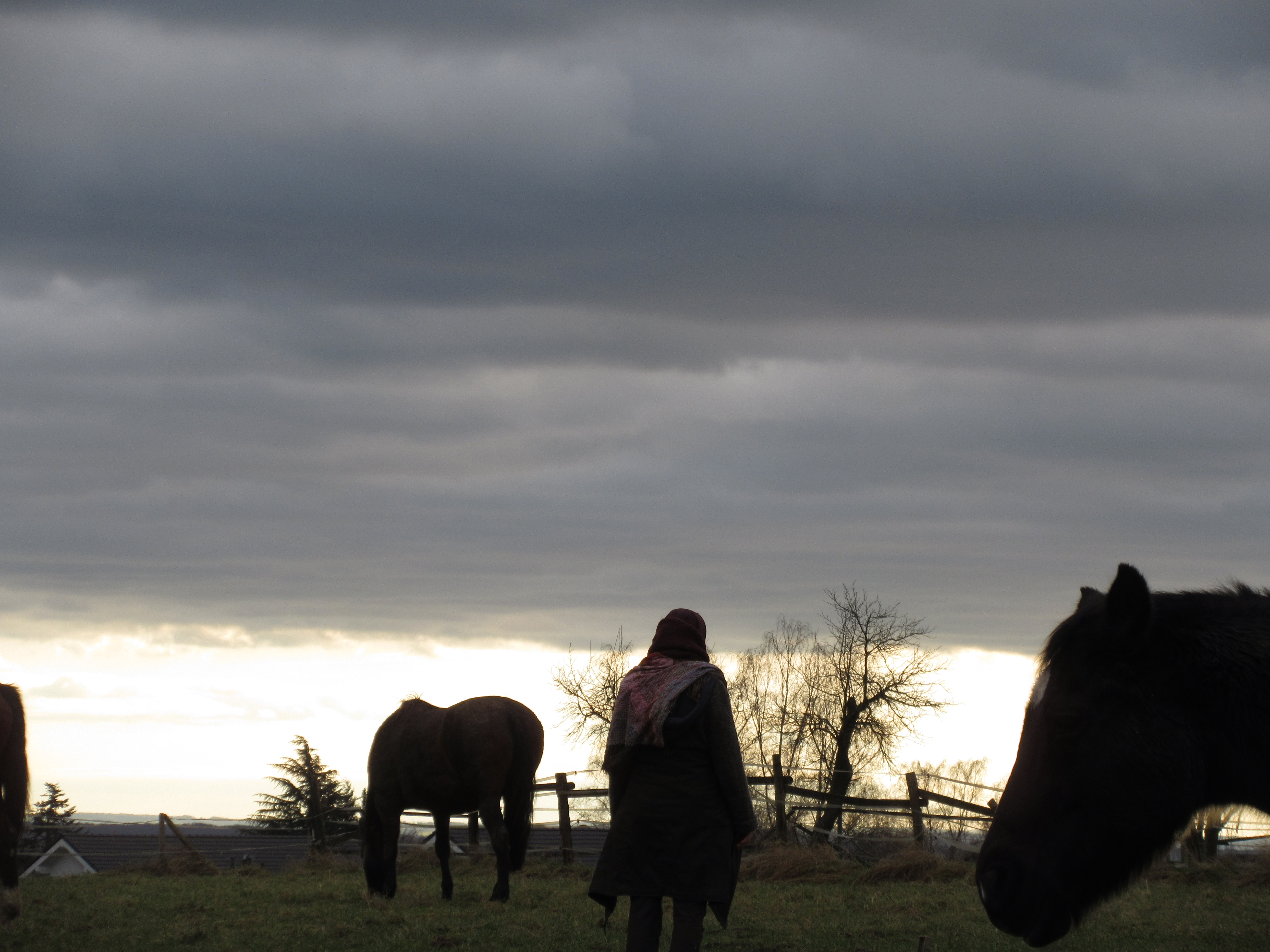 Ahnenheilung mit Pferd, Gut Breide